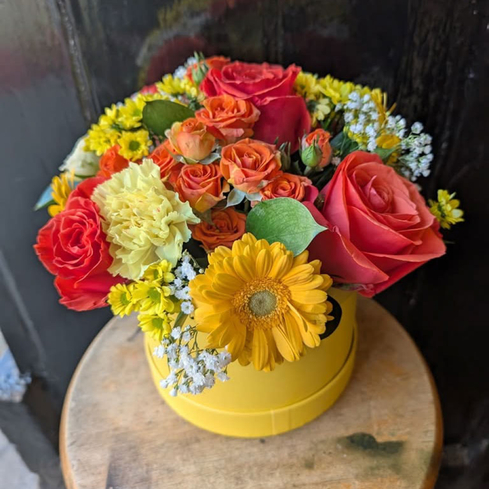 Citrus Sorbet Hat Box Product Image