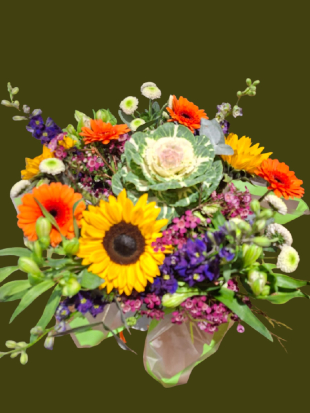 Festival of Colour Product Image